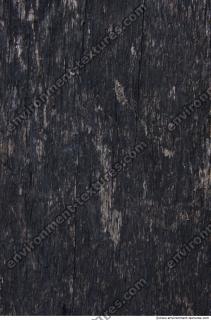 Wood Bare 0010